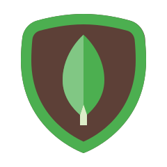 MongoDB MongoDB